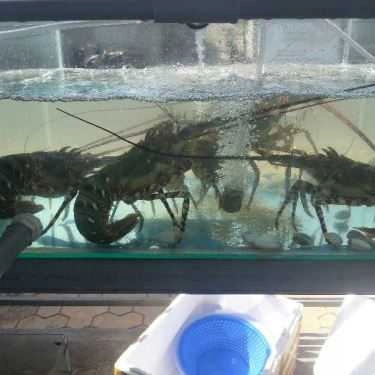 Món ăn- Nhà Hàng Bờ Kè Lobster - Nguyễn Đình Chiểu
