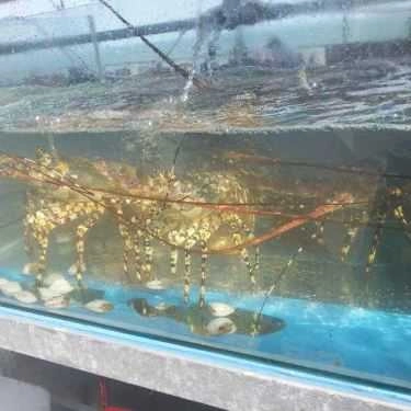 Món ăn- Nhà Hàng Bờ Kè Lobster - Nguyễn Đình Chiểu