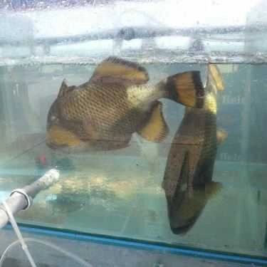 Món ăn- Nhà Hàng Bờ Kè Lobster - Nguyễn Đình Chiểu