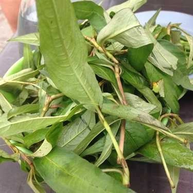Món ăn- Quán Ăn Bún Bò Rau Răm - Trần Hưng Đạo