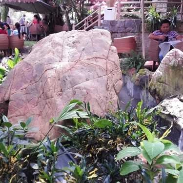 Tổng hợp- The Hill Cafe