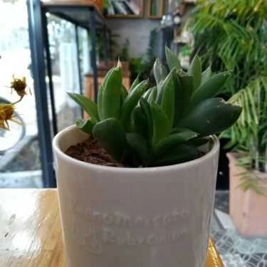 Tổng hợp- CoffeeTea N M