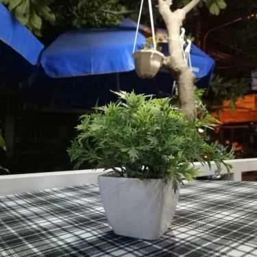 Tổng hợp- Min Coffee