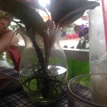 Tổng hợp- Min Coffee