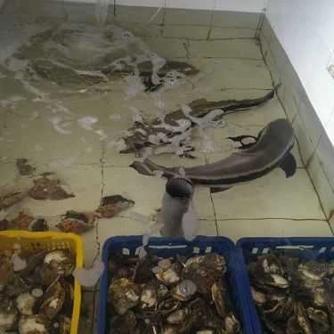 Tổng hợp- Quán Ăn Thịnh Phát - Hải Sản Tươi Sống