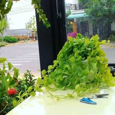 Tổng hợp- Say Cafe