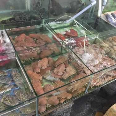 Tổng hợp- Quán Ăn Bờ Kè Chợ Hải Sản - Quán Hải Sản