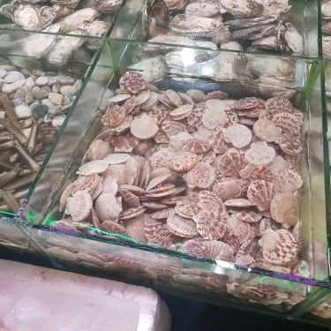 Tổng hợp- Quán Ăn Bờ Kè Chợ Hải Sản - Quán Hải Sản