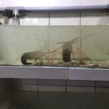 Tổng hợp- Nhà Hàng Bờ Kè Chợ Hải Sản - Hải Sản Tươi Sống