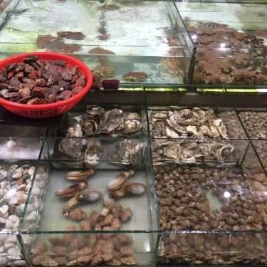 Tổng hợp- Nhà Hàng Bờ Kè Chợ Hải Sản - Hải Sản Tươi Sống