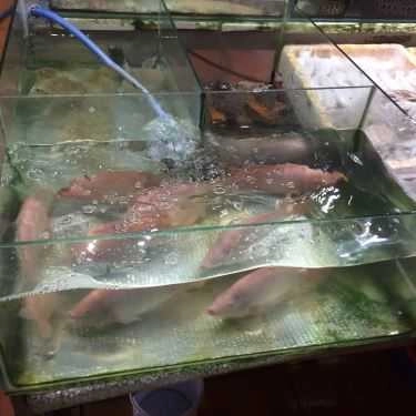 Tổng hợp- Nhà Hàng Bờ Kè Chợ Hải Sản - Hải Sản Tươi Sống