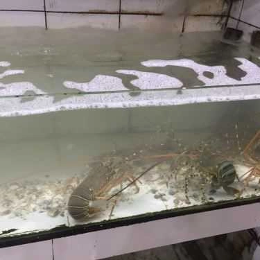 Tổng hợp- Nhà Hàng Bờ Kè Chợ Hải Sản - Hải Sản Tươi Sống