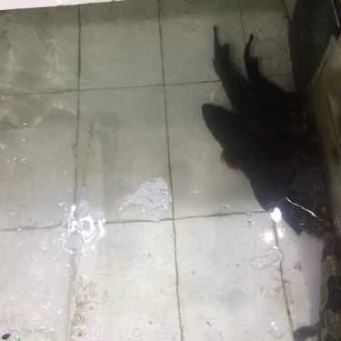 Tổng hợp- Nhà Hàng Bờ Kè Chợ Hải Sản - Hải Sản Tươi Sống