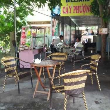 Không gian- Cây Phượng Coffee