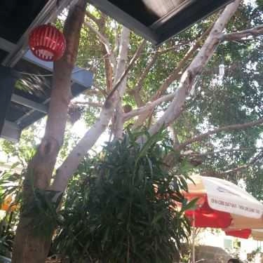 Tổng hợp- Dạ Lan Cafe - Nguyễn Thông