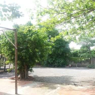 Tổng hợp- Đất Việt - Quán Ăn Sân Vườn