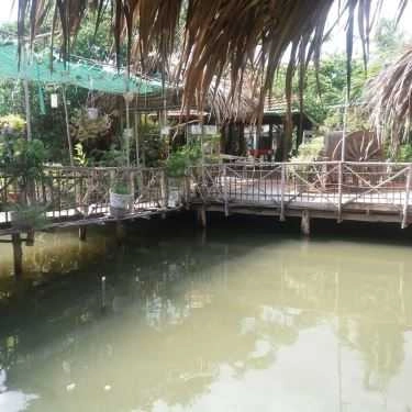 Tổng hợp- Đất Việt - Quán Ăn Sân Vườn