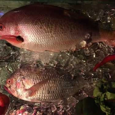 Tổng hợp- Nhà Hàng Deja Vu Restaurant Bar
