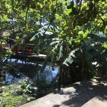 Tổng hợp- Quán Ăn Gia Hưng Quán - Hàn Mặc Tử