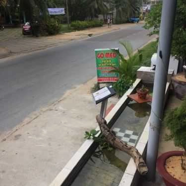 Tổng hợp- Nhà Hàng Gô Mèo - Các Món Ăn Gia Đình