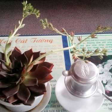 Tổng hợp- Góc Đà Lạt Cafe