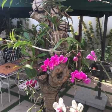 Tổng hợp- Góc Đà Lạt Cafe