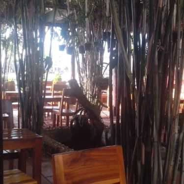 Tổng hợp- H3 Coffee
