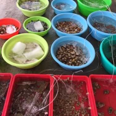 Tổng hợp- Nhà Hàng Hải Sản Biển Đông - Huỳnh Thúc Kháng