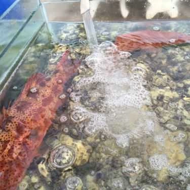 Tổng hợp- Quán Ăn Hải Sản Bờ Kè Gió Biển