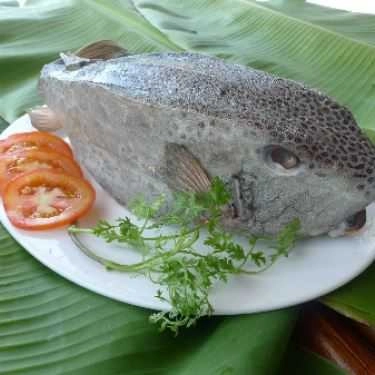 Tổng hợp- Quán Ăn Hải Sản Phương Linh Bờ Kè