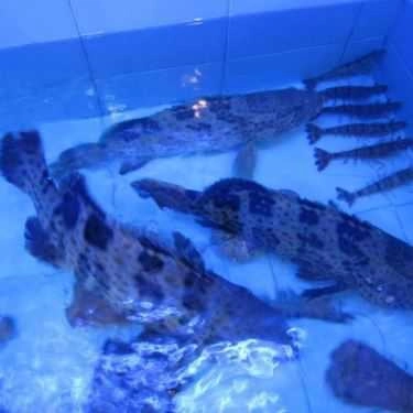 Tổng hợp- Quán Ăn Hải Sản Phương Linh Bờ Kè