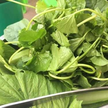 Tổng hợp- Quán Nhậu Hiền 3 - Lẩu Dê, Bò & Hải Sản