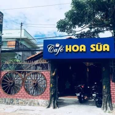 Tổng hợp- Hoa Sữa Cafe