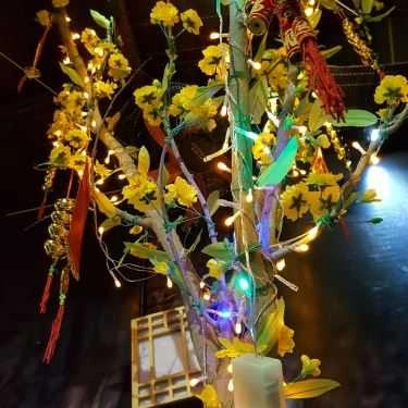 Tổng hợp- Hudu Cafe
