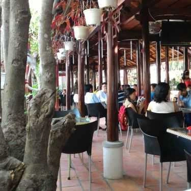 Tổng hợp- Kỳ Duyên - Cafe Nhạc