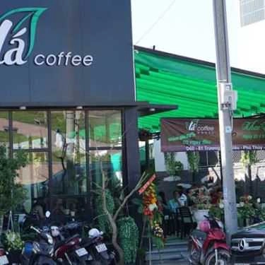 Tổng hợp- Lá Coffee