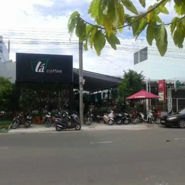 Tổng hợp- Lá Coffee
