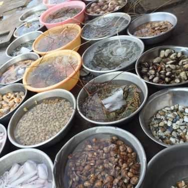 Tổng hợp- Nhà Hàng Làng Chài Quán - Ẩm Thực Việt