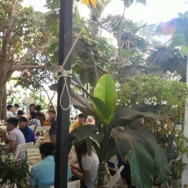 Tổng hợp- Light Coffee