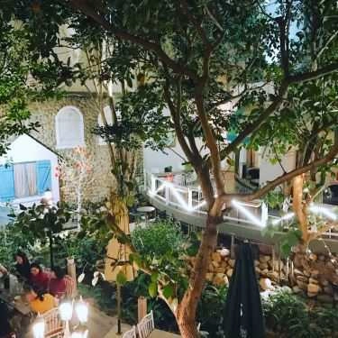 Tổng hợp- Lighthouse Cafe & Hotel