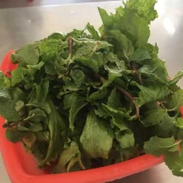 Tổng hợp- Quán Ăn Mì Quảng Vịt Trại Hòm - Trần Phú