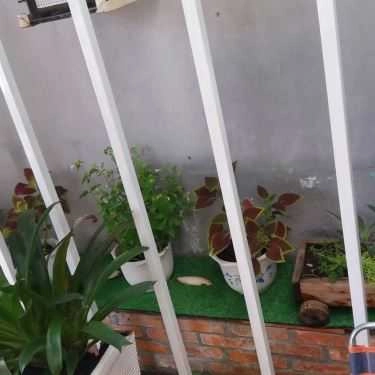 Tổng hợp- Min Coffee