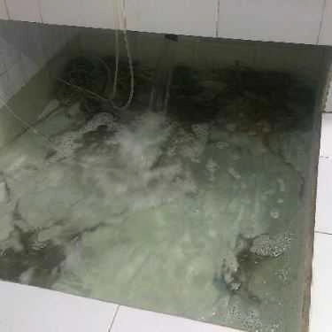 Tổng hợp- Quán Ăn Mr Crab Bờ Kè Lâm Viên