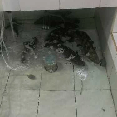 Tổng hợp- Quán Ăn Mr Crab Bờ Kè Lâm Viên