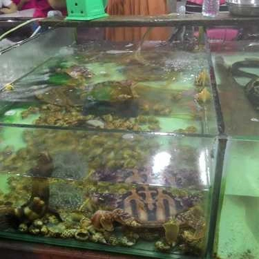 Tổng hợp- Quán Ăn Mr Crab Bờ Kè Lâm Viên