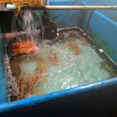 Tổng hợp- Quán Ăn Mr Crab Bờ Kè Lâm Viên