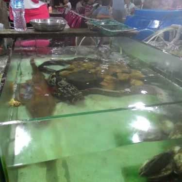 Tổng hợp- Quán Ăn Mr Crab Bờ Kè Lâm Viên