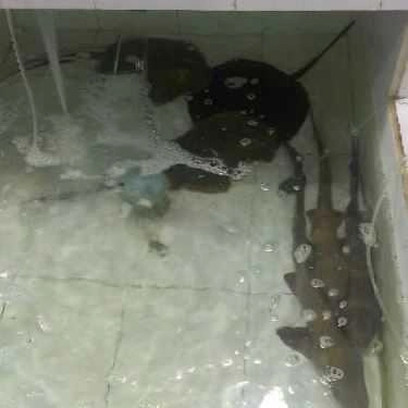 Tổng hợp- Quán Ăn Mr Crab Bờ Kè Lâm Viên