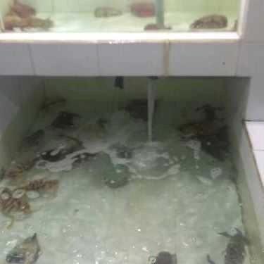Tổng hợp- Quán Ăn Mr Crab Bờ Kè Lâm Viên