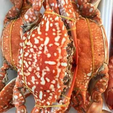 Món ăn- Quán Nhậu Muối Ớt Xanh - Nhậu Bình Dân